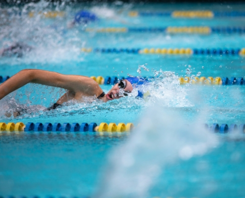 people swimming in the pool