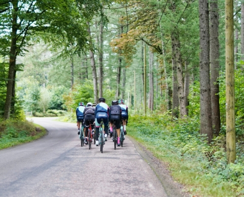 people riding bicycles on road during daytime