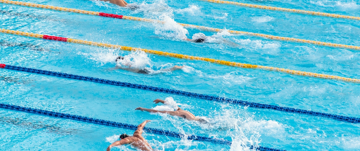 people in swimming pool